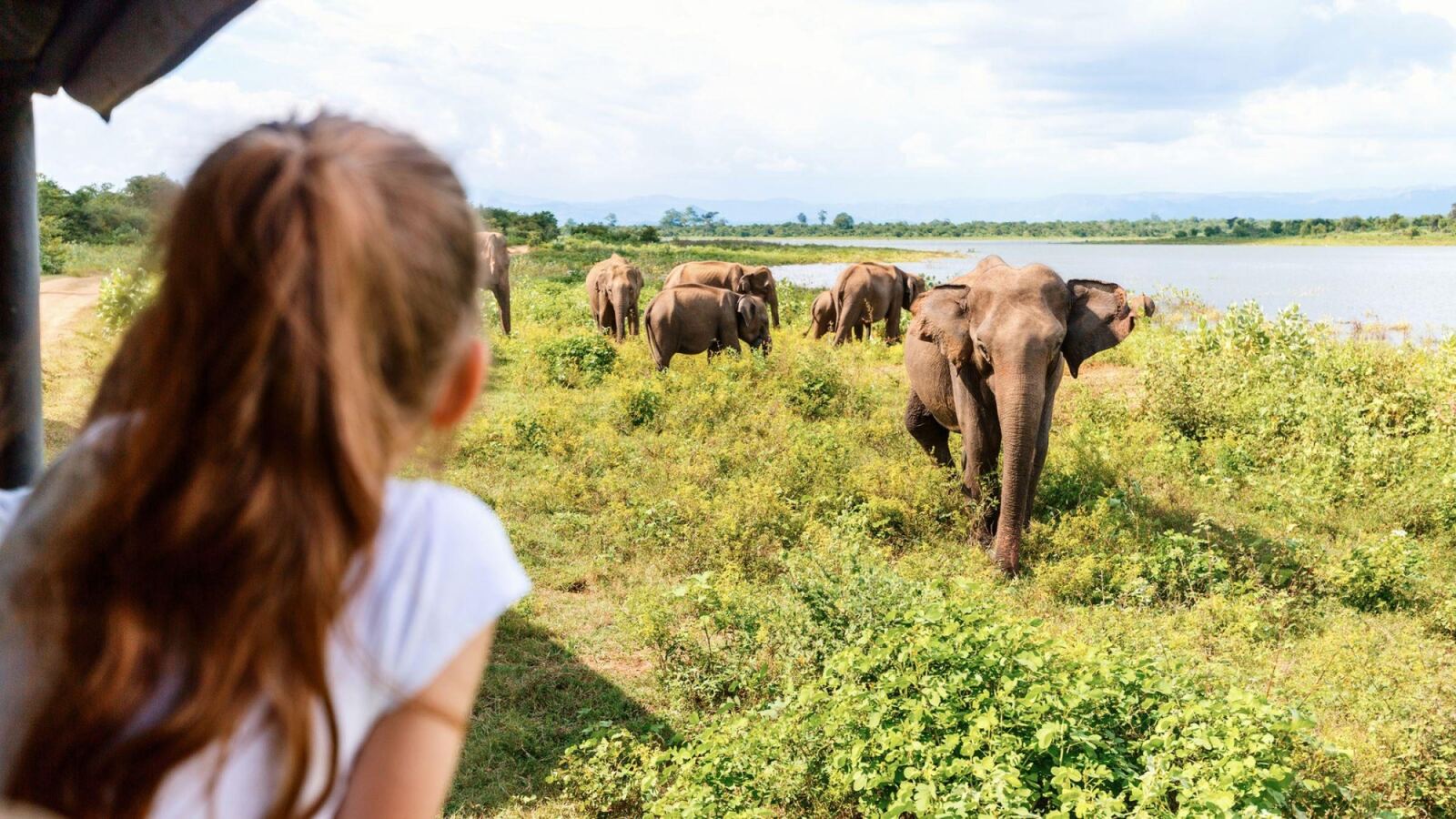 9-Day Sri Lanka Family Adventure & Wildlife Safari - Sri Lanka Tour